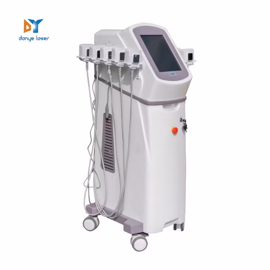 Danye Trusculpt monopolaire RF Jisu équipement de dissolution de graisse visage corps Trusculpt ID Machine